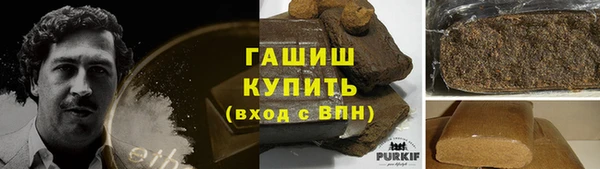 СК Алексин