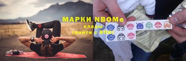 прущие грибы Семилуки