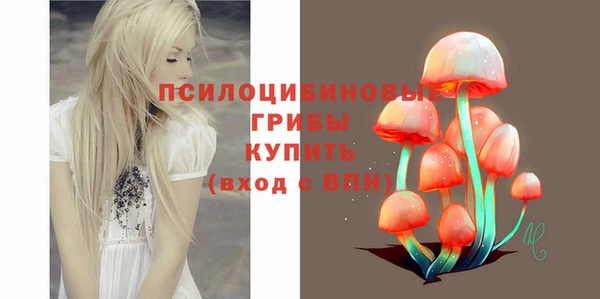СК Алексин