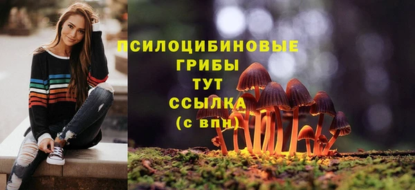 бошки Семикаракорск