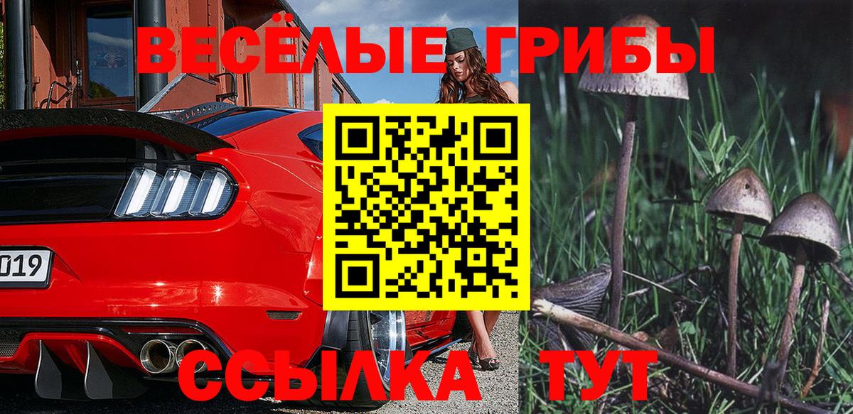 цены наркотик  Вход с VPN  Лесной  Псилоцибиновые грибы мицелий 