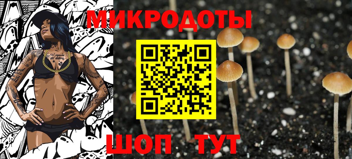 Псилоцибиновые грибы GOLDEN TEACHER Лесной
