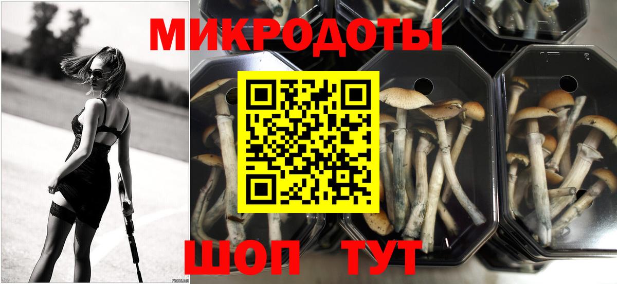 Галлюциногенные грибы Psilocybe  Лесной 